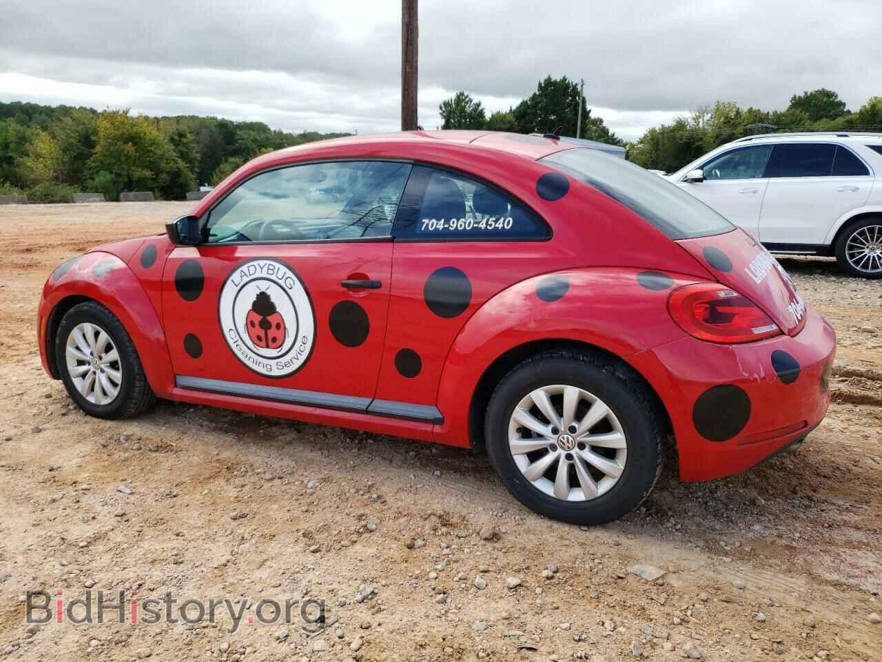 2013 VOLKSWAGEN BEETLE - VIN: 3VWFP7AT8DM670807 - Фото 2