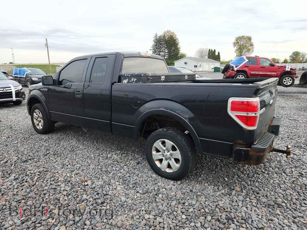2011 FORD F150 - VIN: 1FTEX1CM7BFB36888 - Фото 2