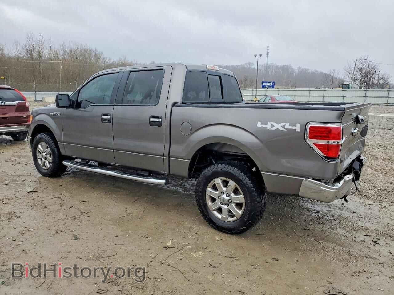 2013 FORD F-150 - VIN: 1FTFW1EF9DFB88046 - Фото 2