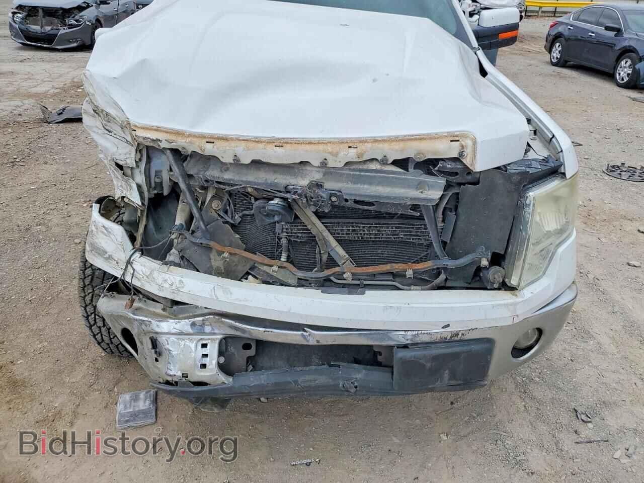 2012 FORD F-150 - VIN: 1FTFX1CF8CFA70262 - Фото 11