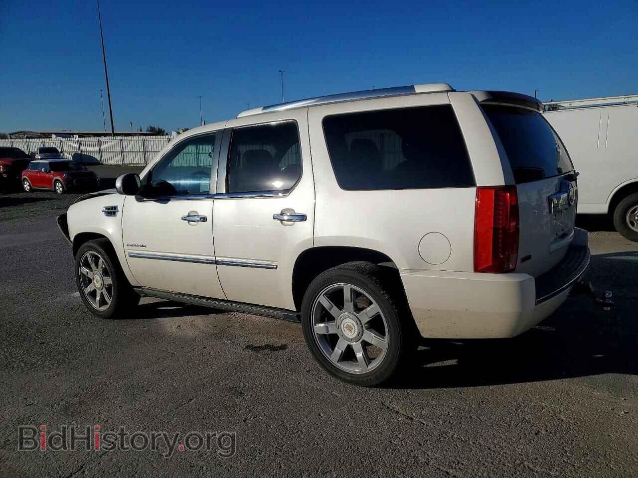 2011 CADILLAC ESCALADE - VIN: 1GYS3CEF7BR288428 - Фото 2