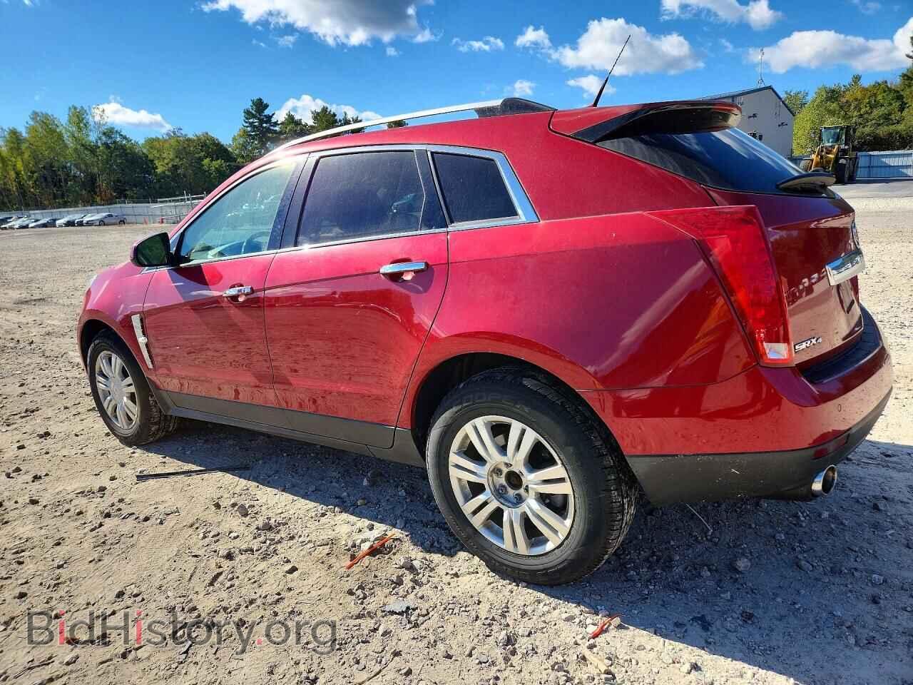 2011 CADILLAC SRX - VIN: 3GYFNDEY0BS553951 - Фото 2