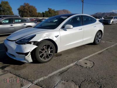 2020 Tesla MODEL 3, white — VIN 5YJ3E1EA2LF613216, Copart