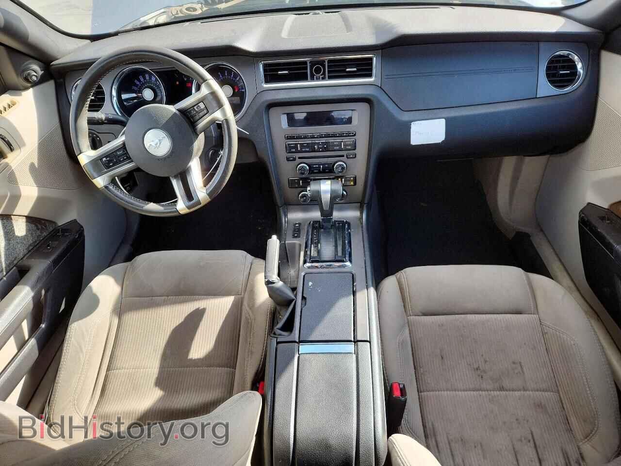 2011 FORD MUSTANG - VIN: 1ZVBP8EM8B5161598 - Photo 8