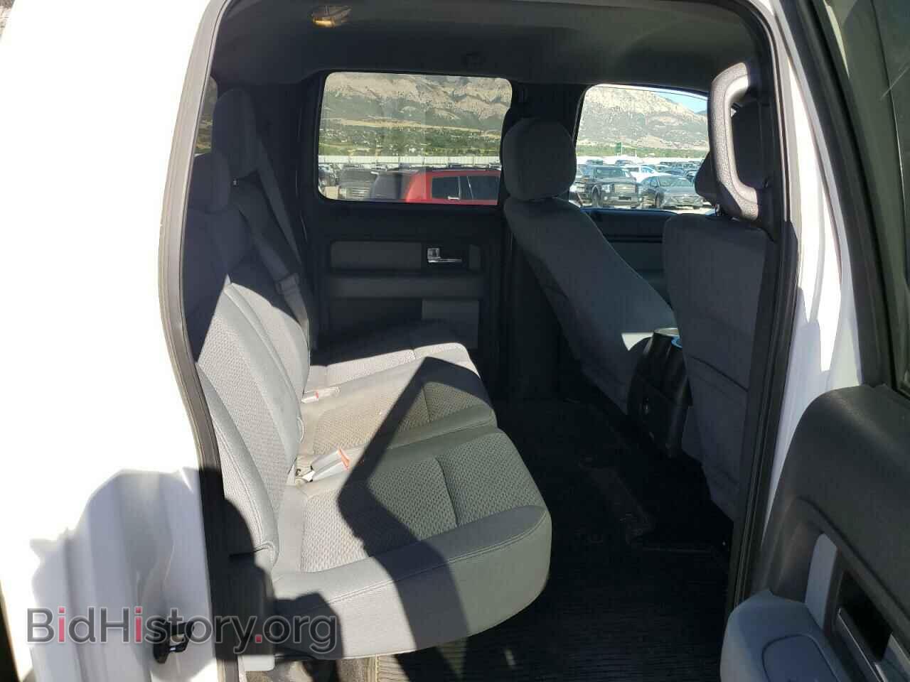 2013 FORD F-150 - VIN: 1FTFW1EF8DKD32421 - Фото 10