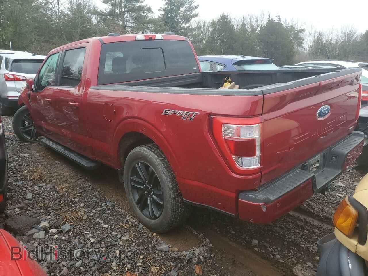 2021 FORD F-150 - VIN: 1FTFW1E81MKE03217 - Фото 2