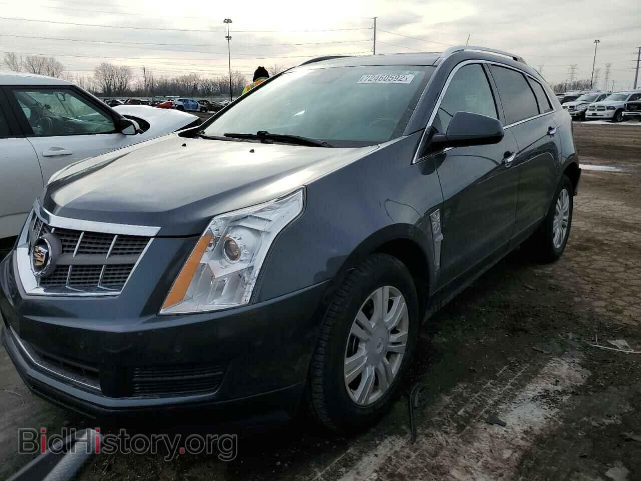 Photo 3GYFNDEY2AS565534 - CADILLAC SRX 2010