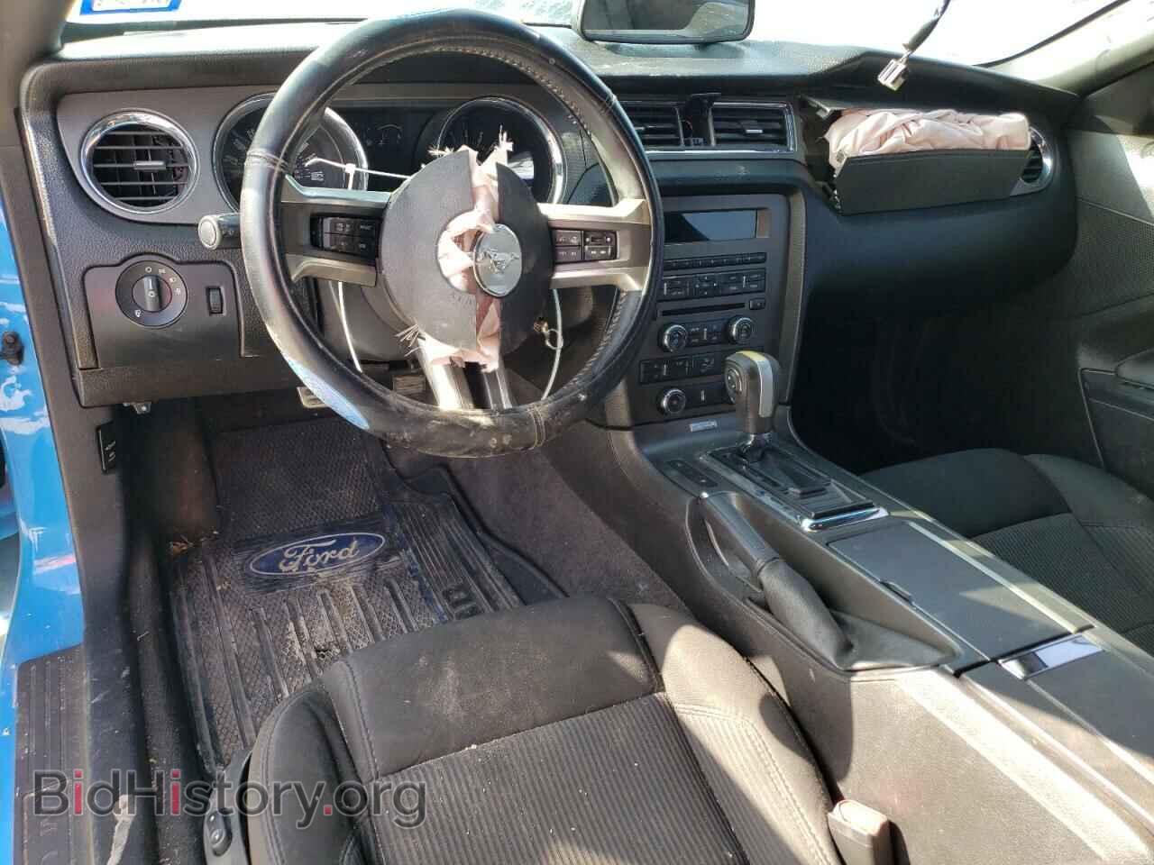 2013 FORD MUSTANG - VIN: 1ZVBP8CF1D5241185 - Фото 8
