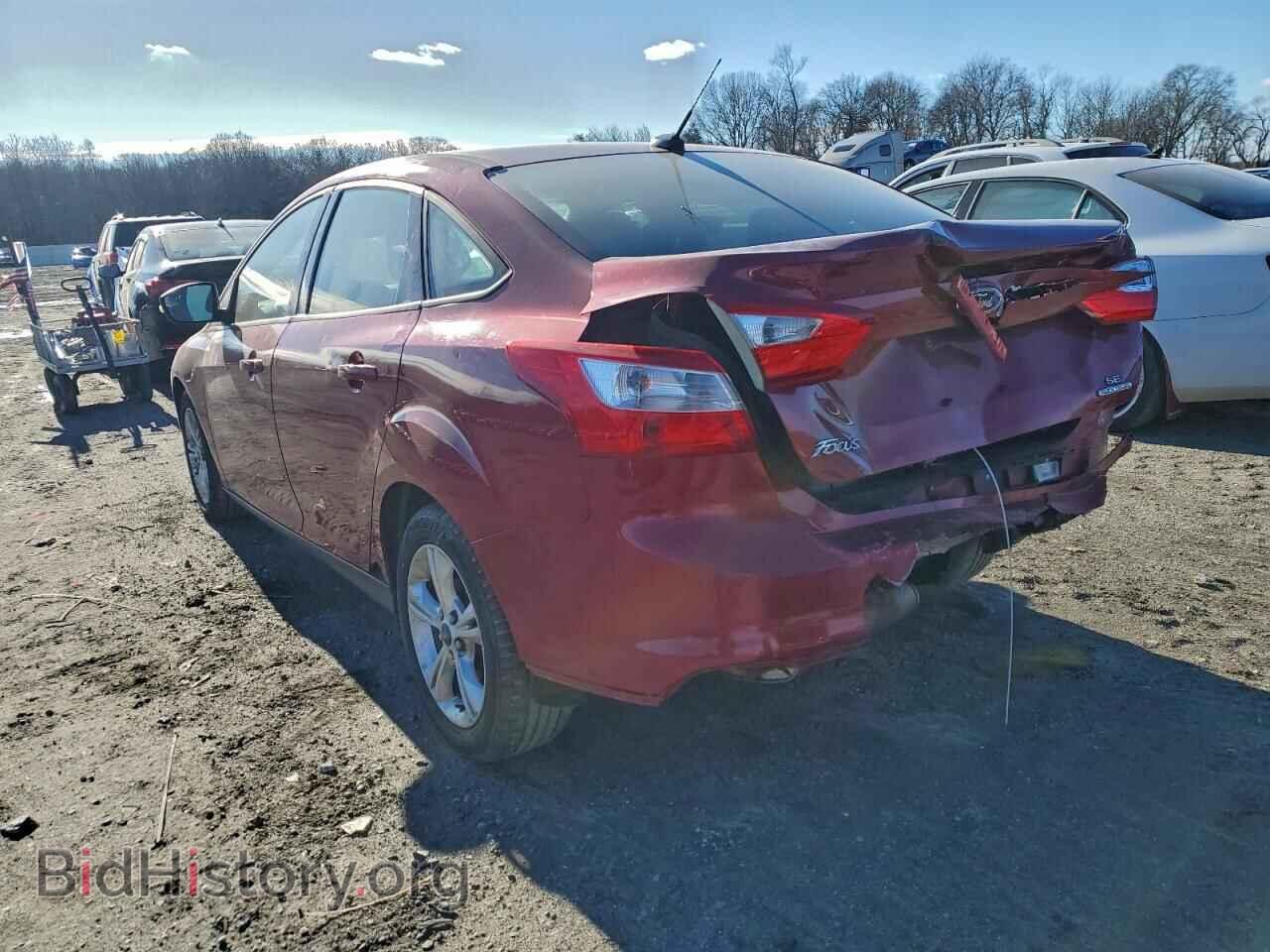 2013 FORD ALL Models - VIN: 1FADP3F20DL154824 - Фото 2