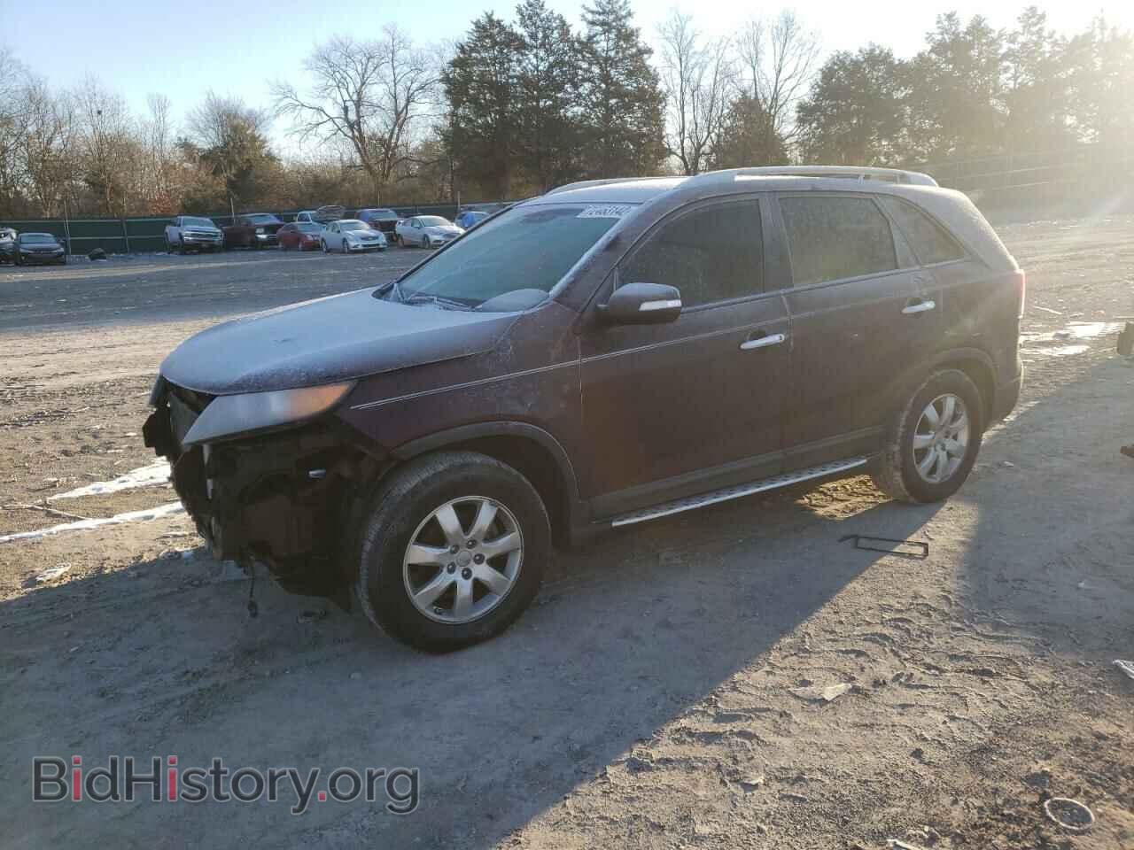 Фотография 5XYKT3A69DG373526 - KIA SORENTO 2013