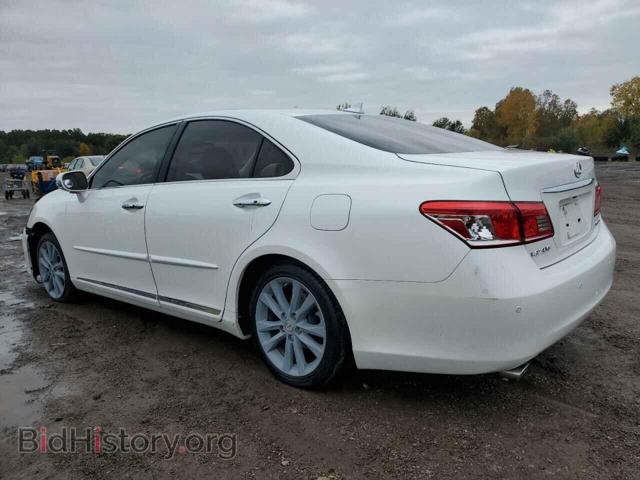 2010 LEXUS ES350 - VIN: JTHBK1EG9A2374142 - Фото 2