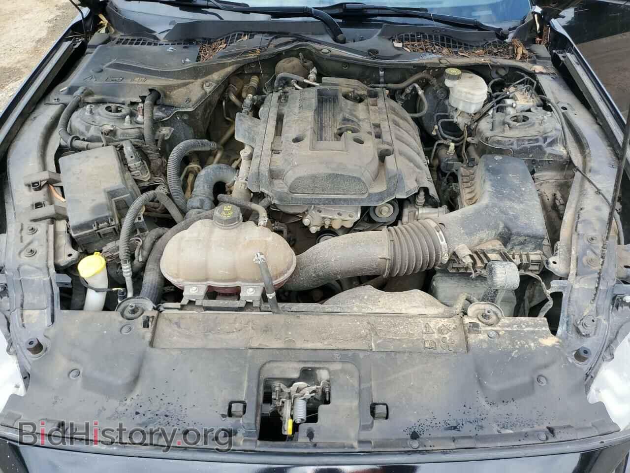 2019 FORD ALL Models - VIN: 1FA6P8TH7K5199937 - Фото 11