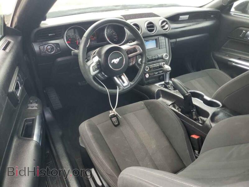 2019 Ford ALL MODELS (VIN 1FA6P8TH7K5199937) — photo 8 of 12