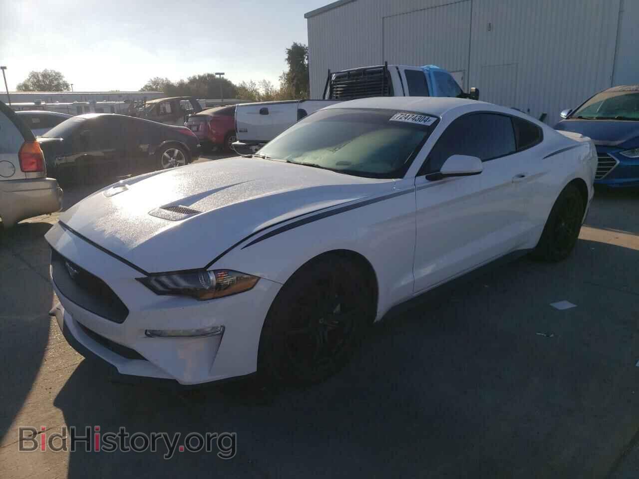 Фотография 1FA6P8TH8K5182791 - FORD ALL Models 2019