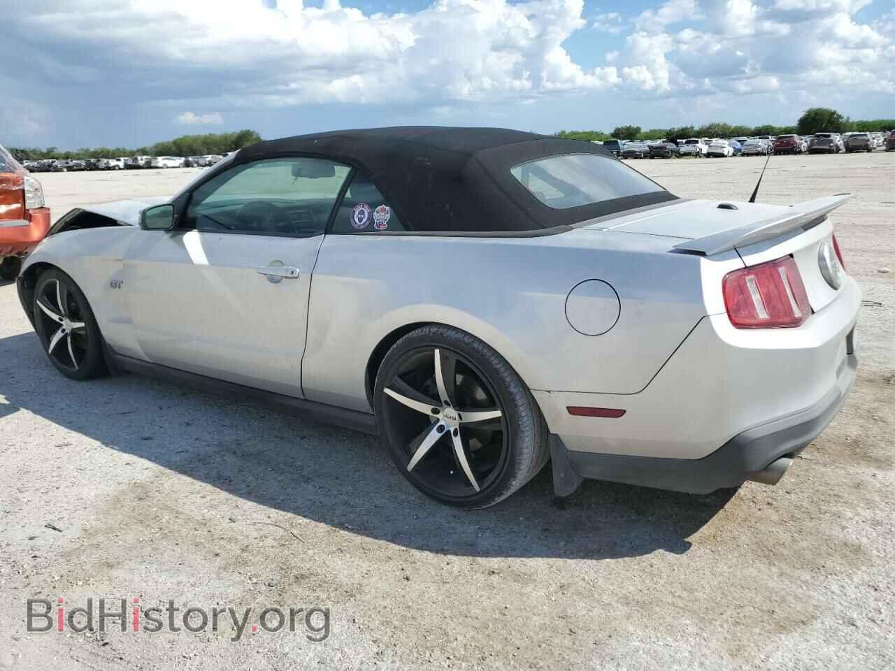 2010 FORD MUSTANG - VIN: 1ZVBP8FH8A5114846 - Фото 2