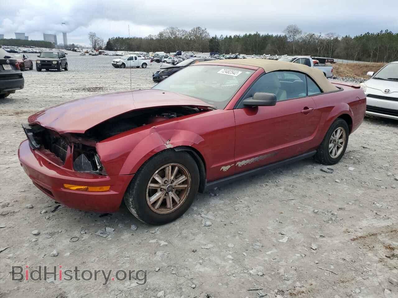 Photo 1ZVFT84N875230305 - FORD MUSTANG 2007