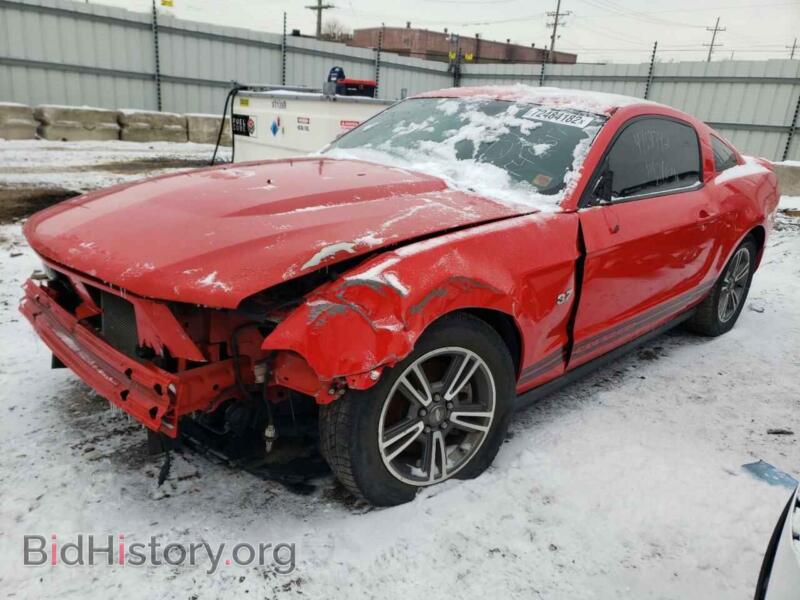2011 Ford ALL MODELS Mustang (VIN 1ZVBP8AM1B5123104) — photo 1 of 13, Copart, damage: front end