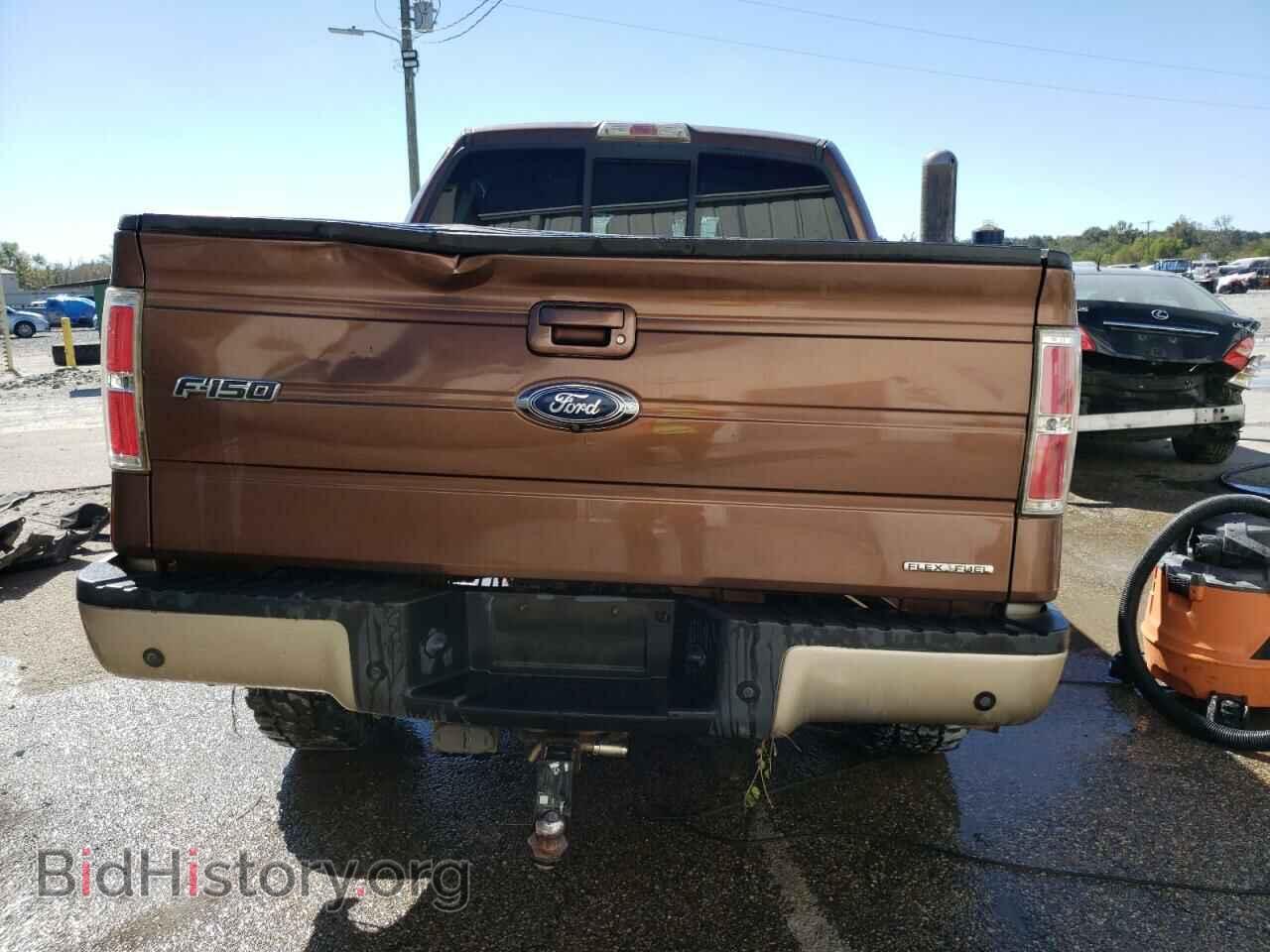 2012 FORD F-150 - VIN: 1FTFW1EF8CFA17691 - Фото 6