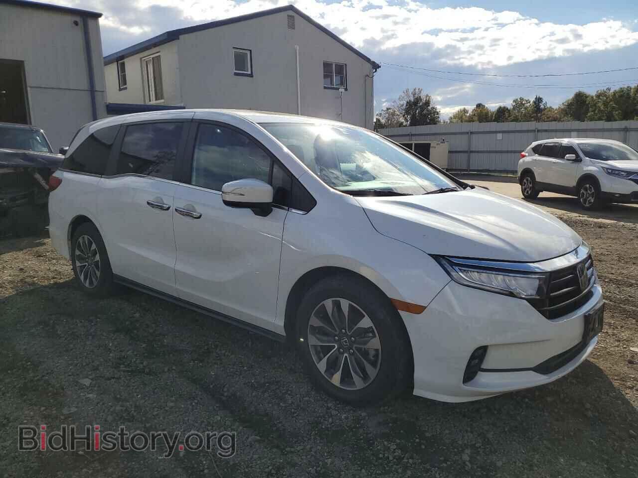 2021 HONDA All Models - VIN: 5FNRL6H79MB026221 - Фото 4