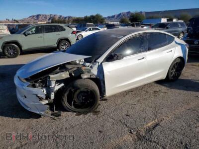2024 Tesla MODEL 3, white — VIN 5YJ3E1EB0RF834752, Copart