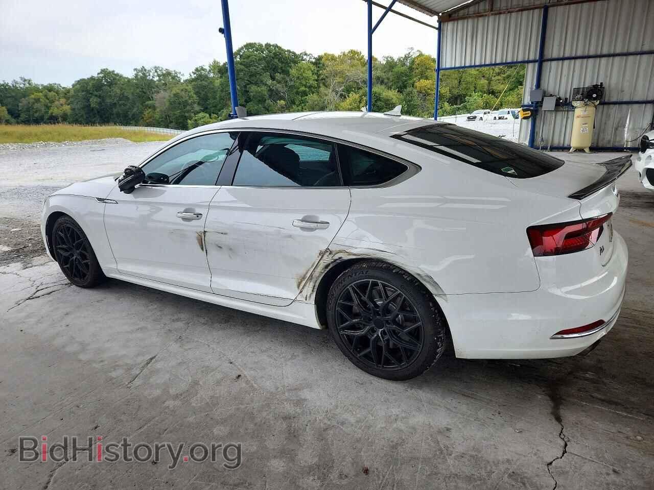 2019 Audi A5 (VIN WAUANCF56KA008057) — фото 2 из 12