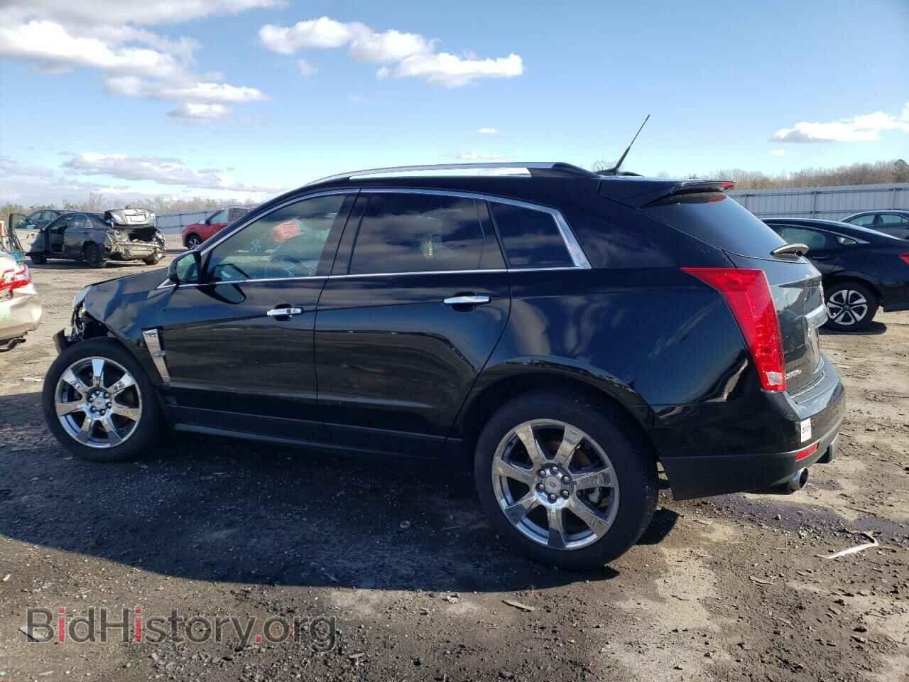2011 CADILLAC SRX - VIN: 3GYFNFEY8BS527190 - Фото 2