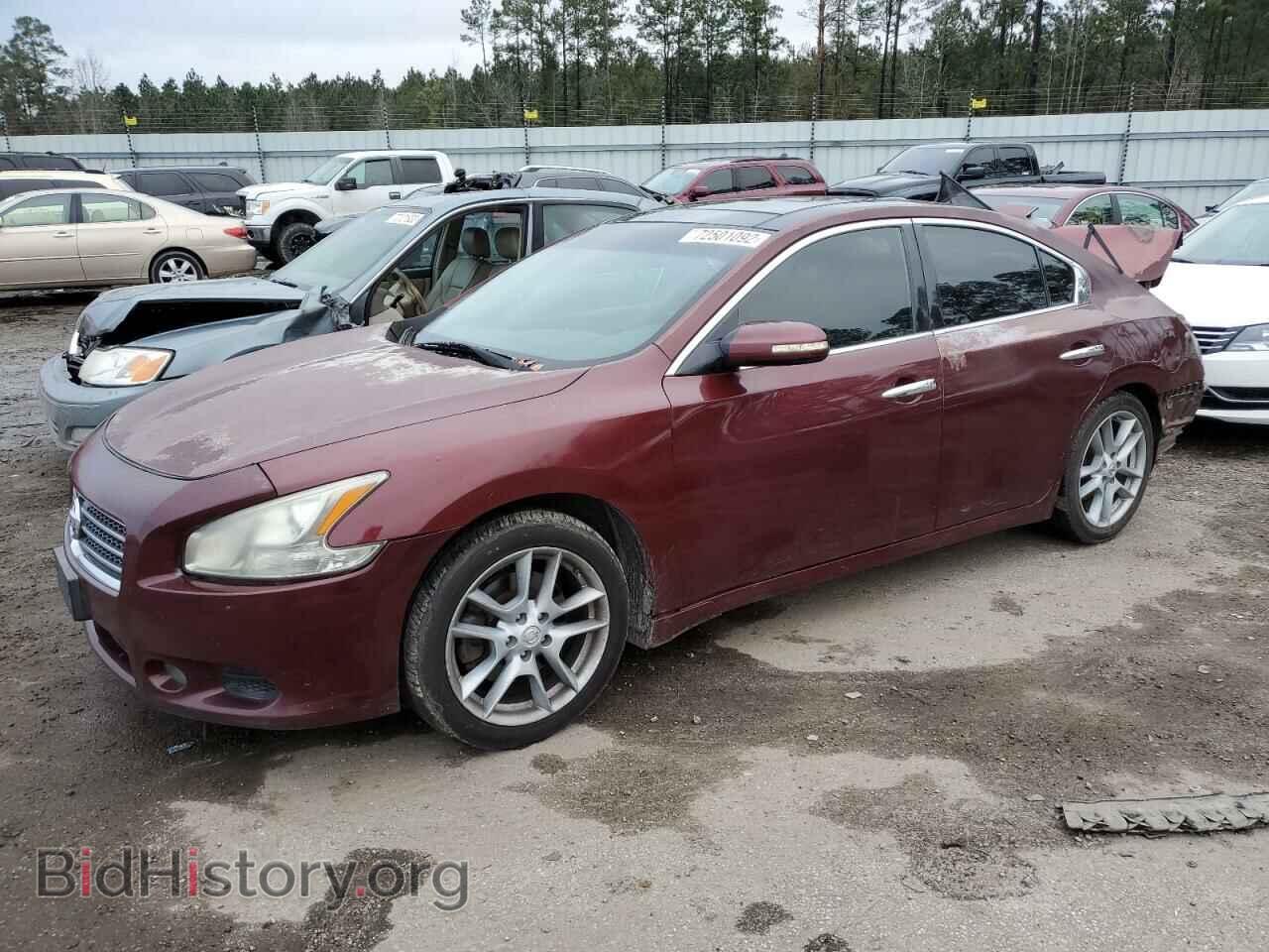 Фотография 1N4AA51E99C859517 - NISSAN MAXIMA 2009