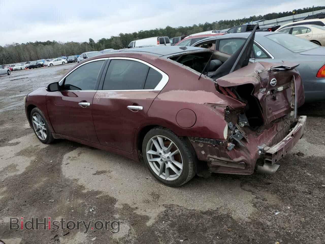 2009 NISSAN MAXIMA - VIN: 1N4AA51E99C859517 - Фото 2