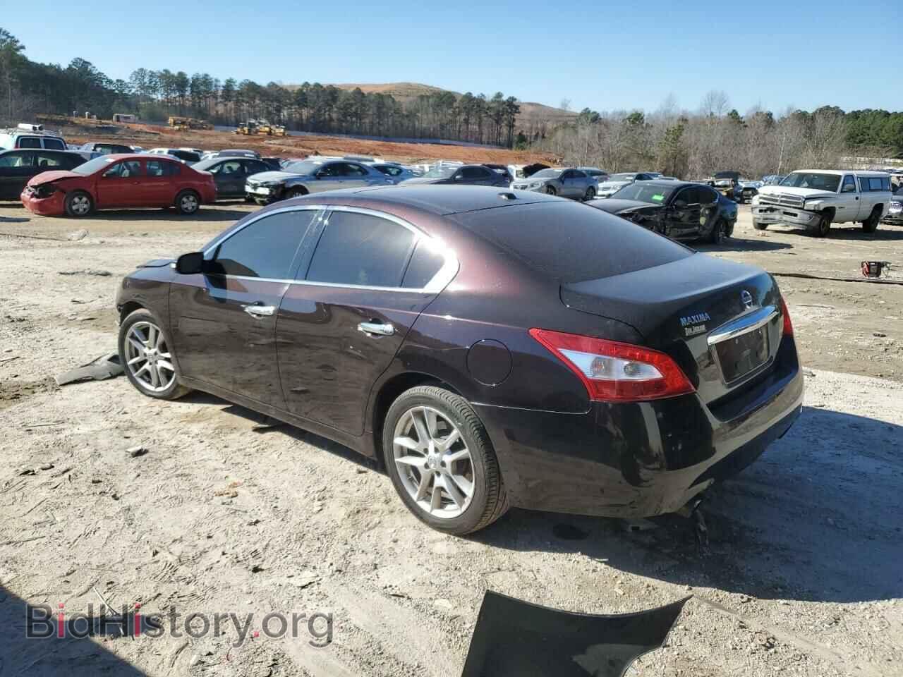 2010 NISSAN MAXIMA - VIN: 1N4AA5AP1AC801214 - Фото 2