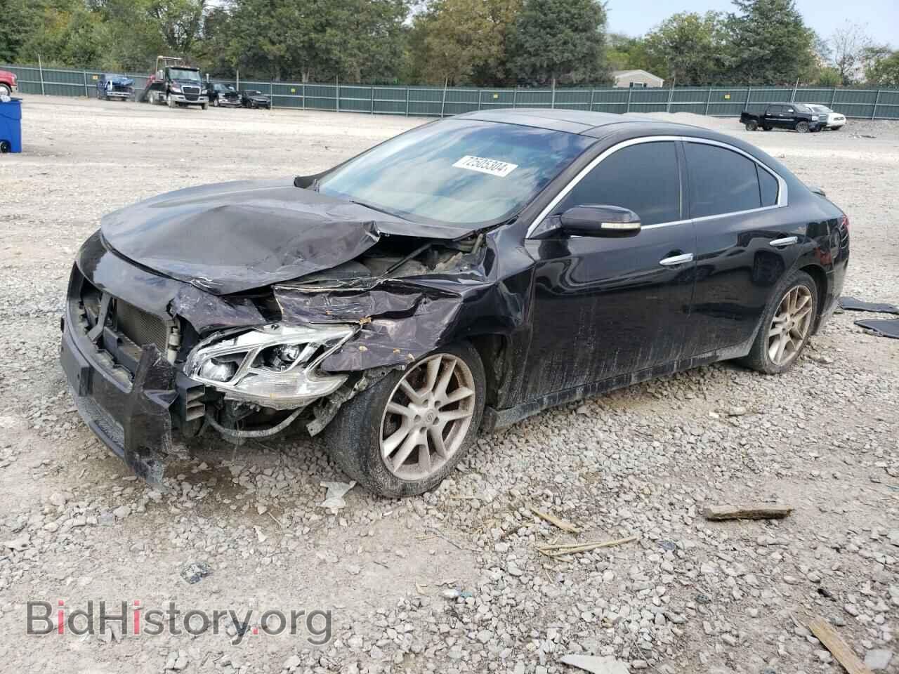 Photo 1N4AA5APXAC802264 - NISSAN MAXIMA 2010