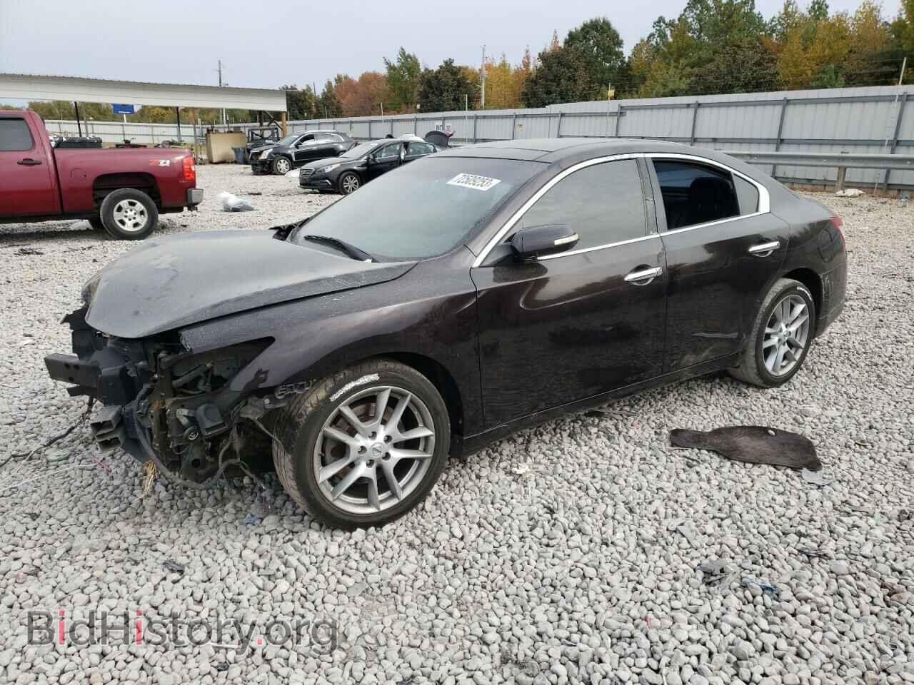 Фотография 1N4AA5AP4BC818378 - NISSAN MAXIMA 2011