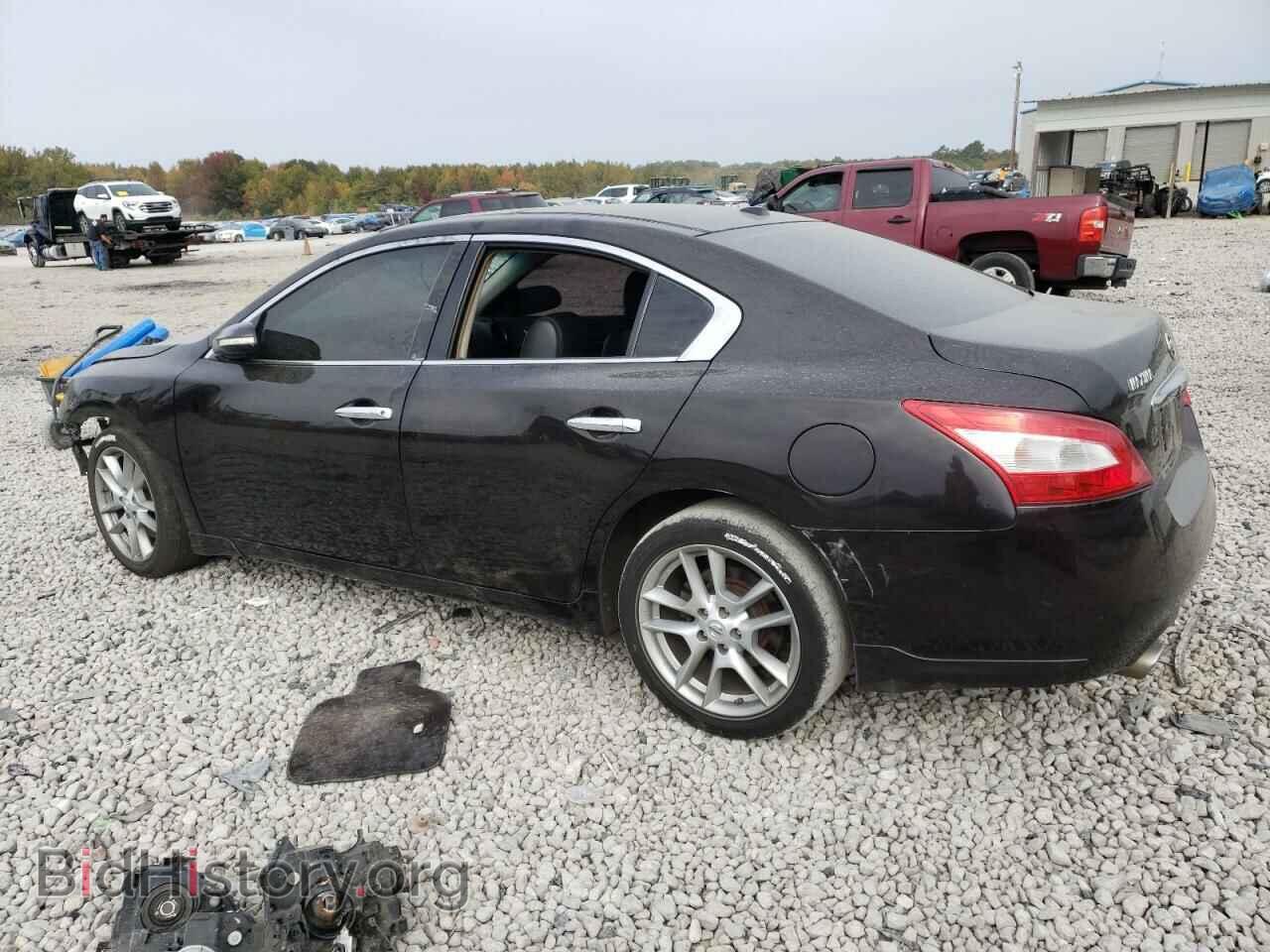2011 NISSAN MAXIMA - VIN: 1N4AA5AP4BC818378 - Фото 2