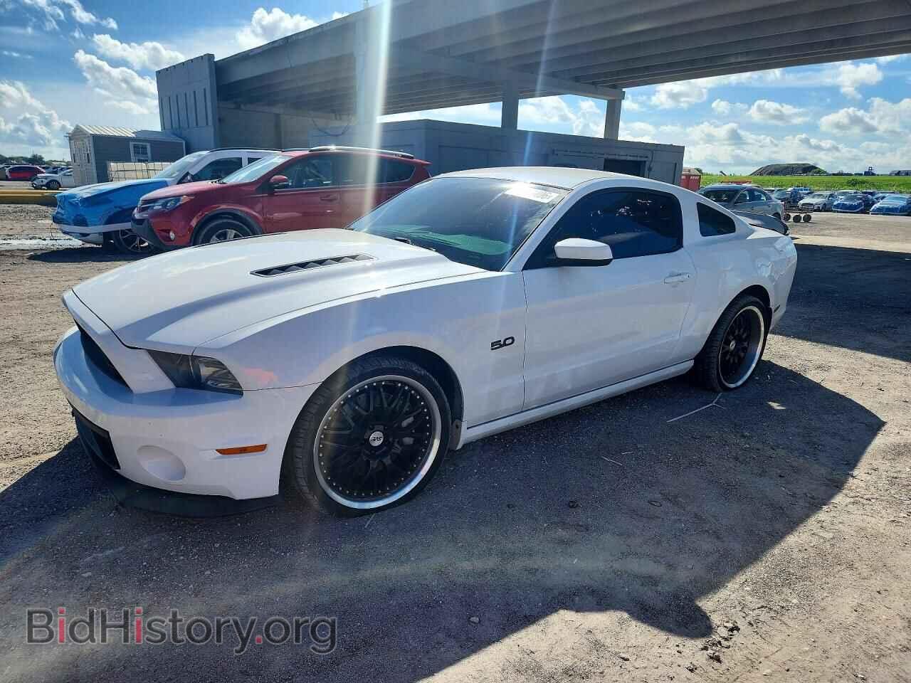 Фотография 1ZVBP8CF2D5268492 - FORD MUSTANG 2013