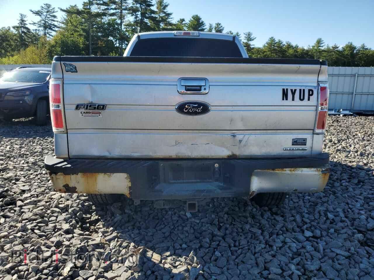 2014 FORD F-150 - VIN: 1FTFX1EF9EFB80043 - Фото 6
