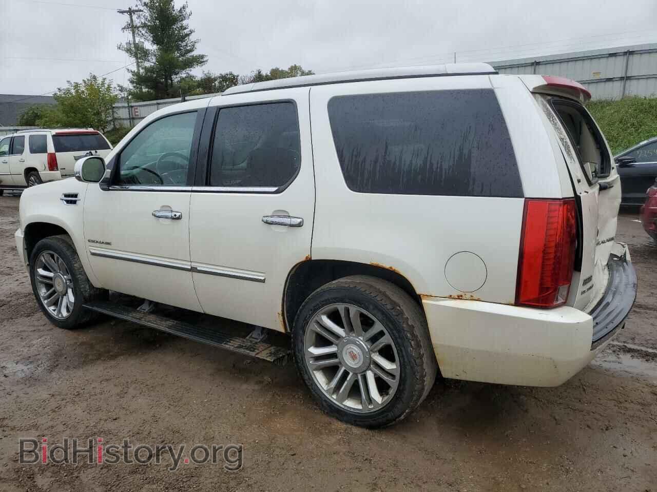 2011 CADILLAC ESCALADE - VIN: 1GYS4DEF9BR126819 - Фото 2