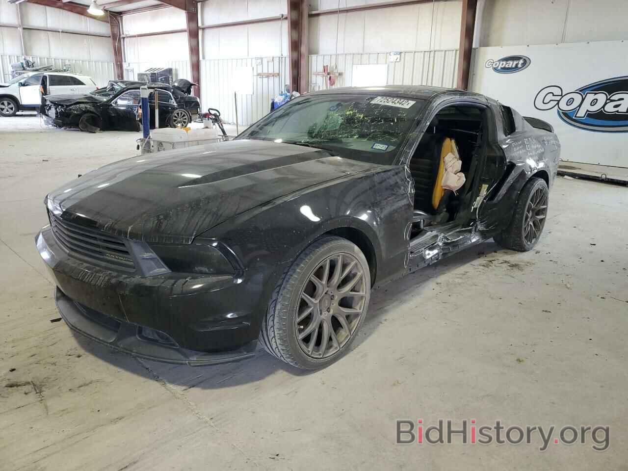 Photo 1ZVBP8AMXC5209710 - FORD MUSTANG 2012