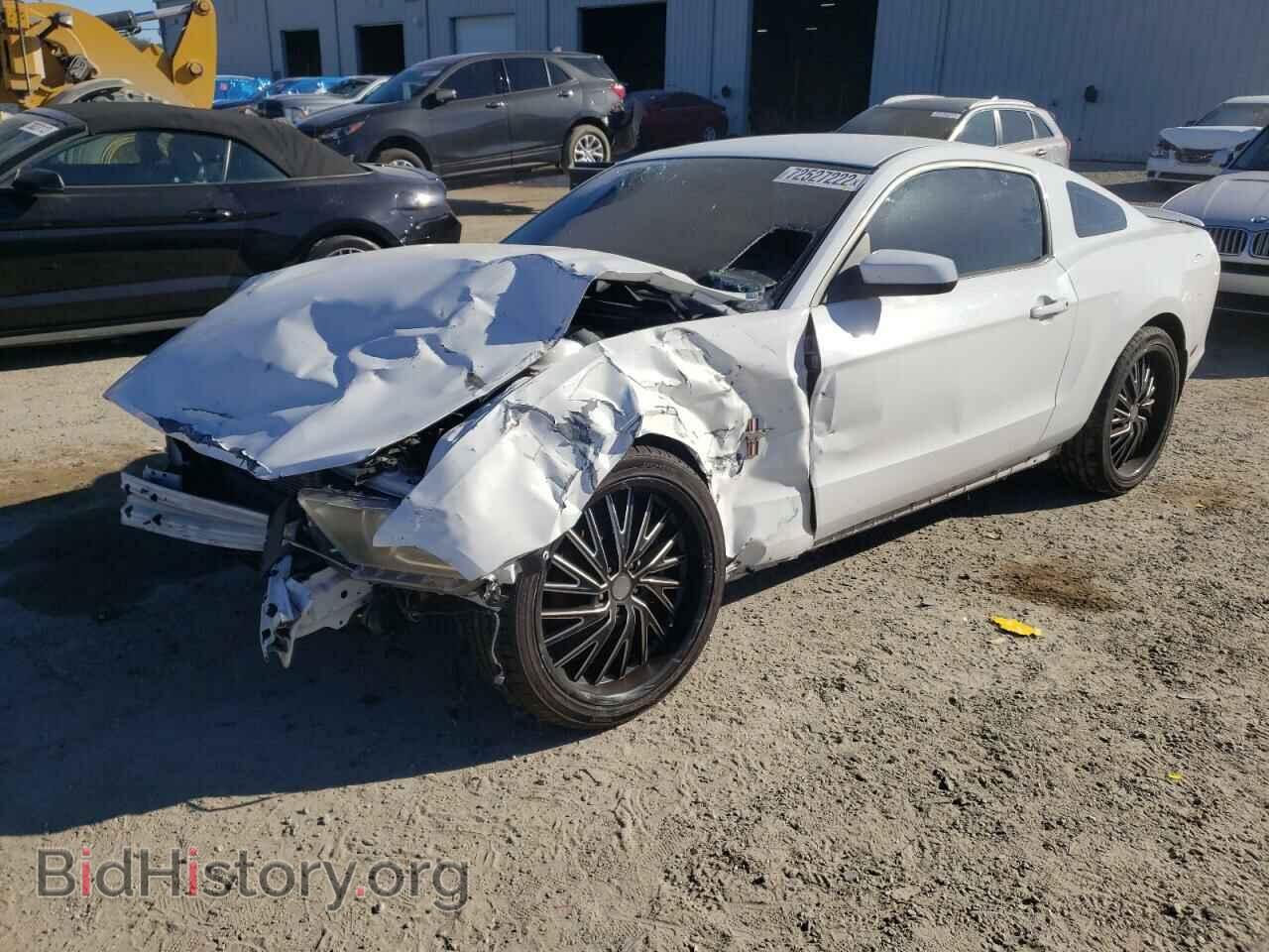 Photo 1ZVBP8AM8E5223768 - FORD MUSTANG 2014