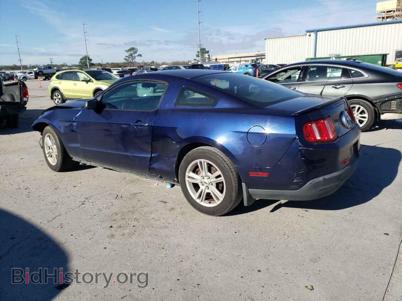2010 FORD MUSTANG - VIN: 1ZVBP8AN0A5117012 - Фото 2