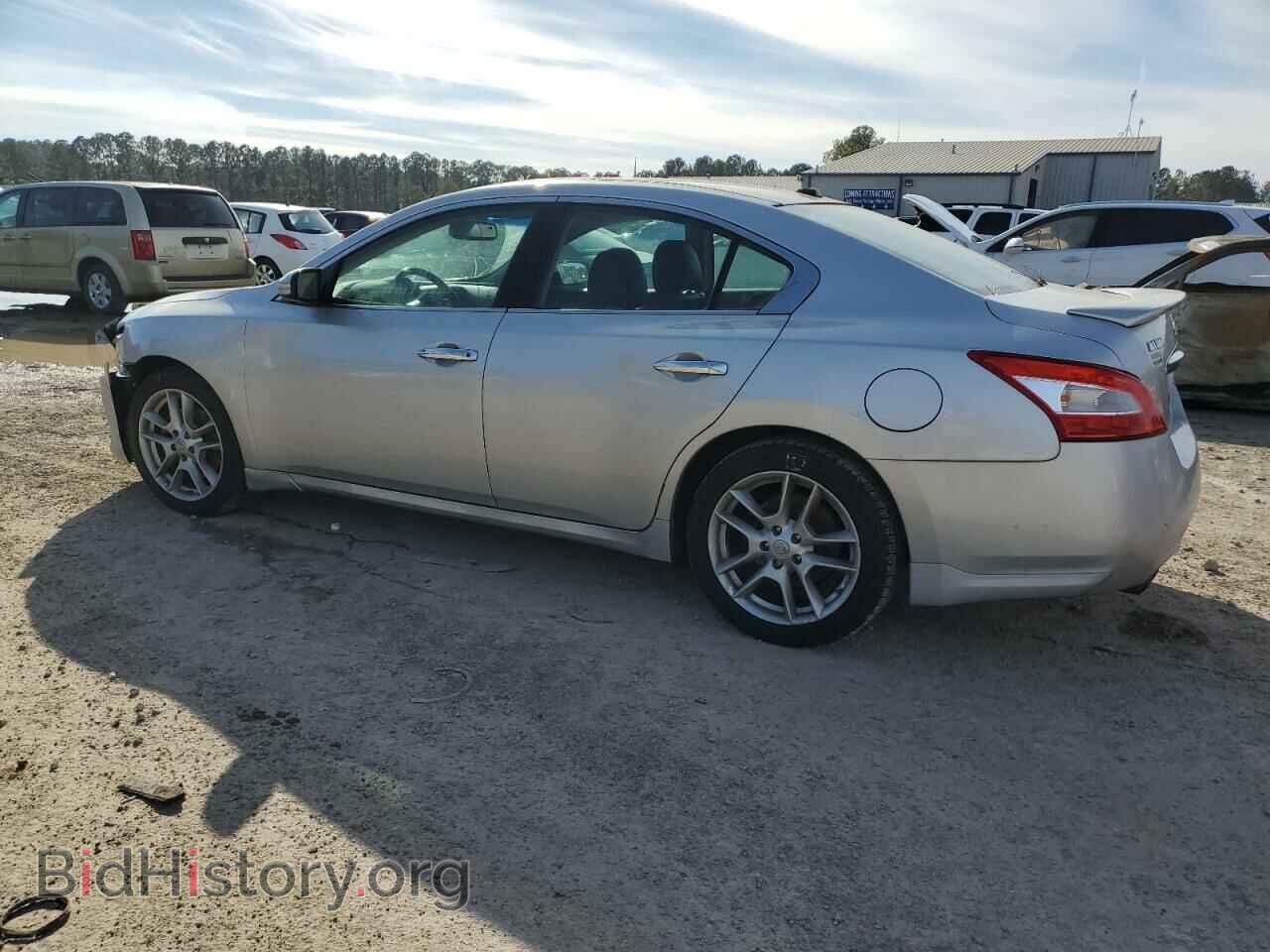 2009 NISSAN MAXIMA - VIN: 1N4AA51E59C845954 - Фото 2