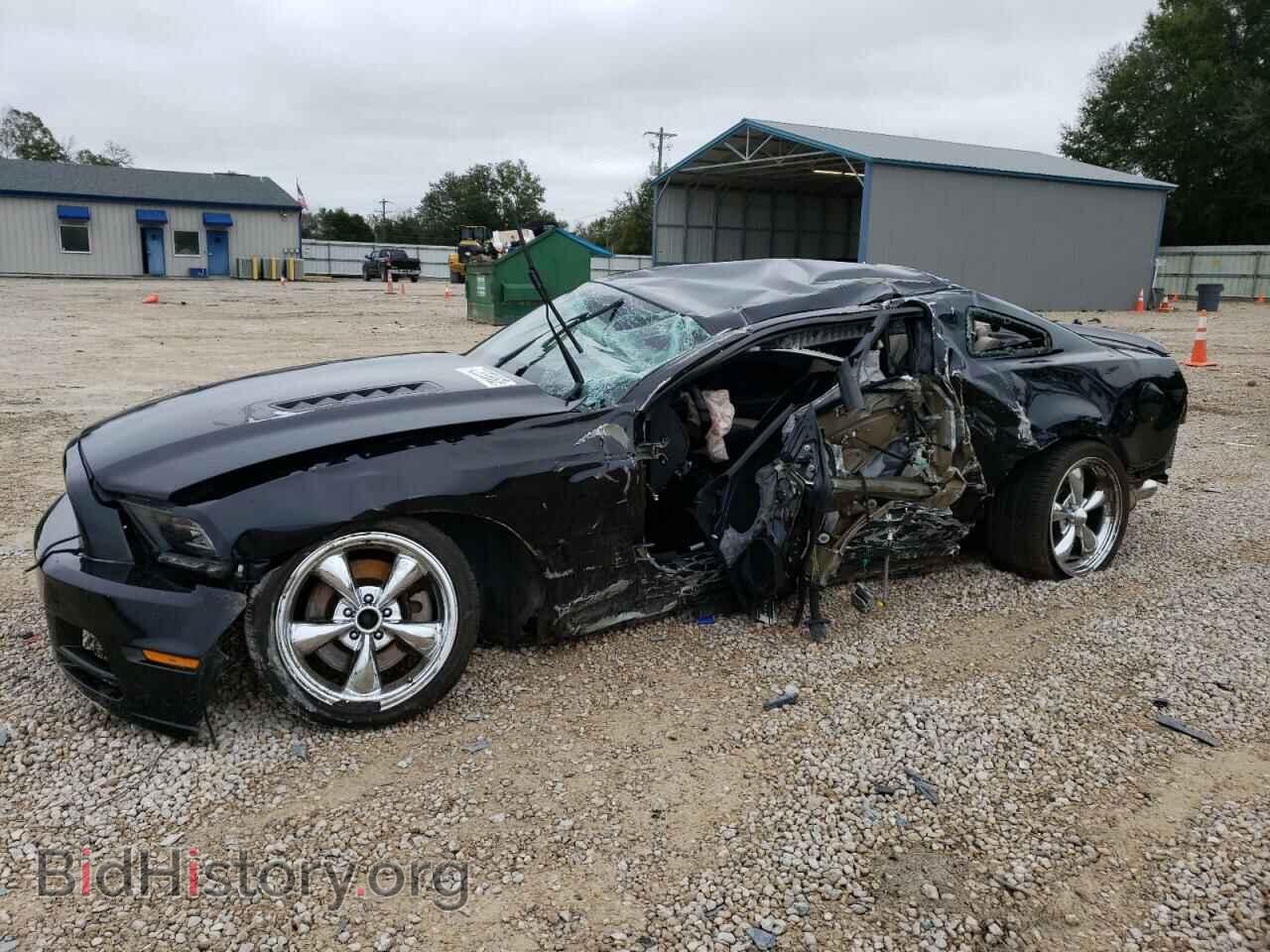 Фотография 1ZVBP8CF1D5237962 - FORD MUSTANG 2013