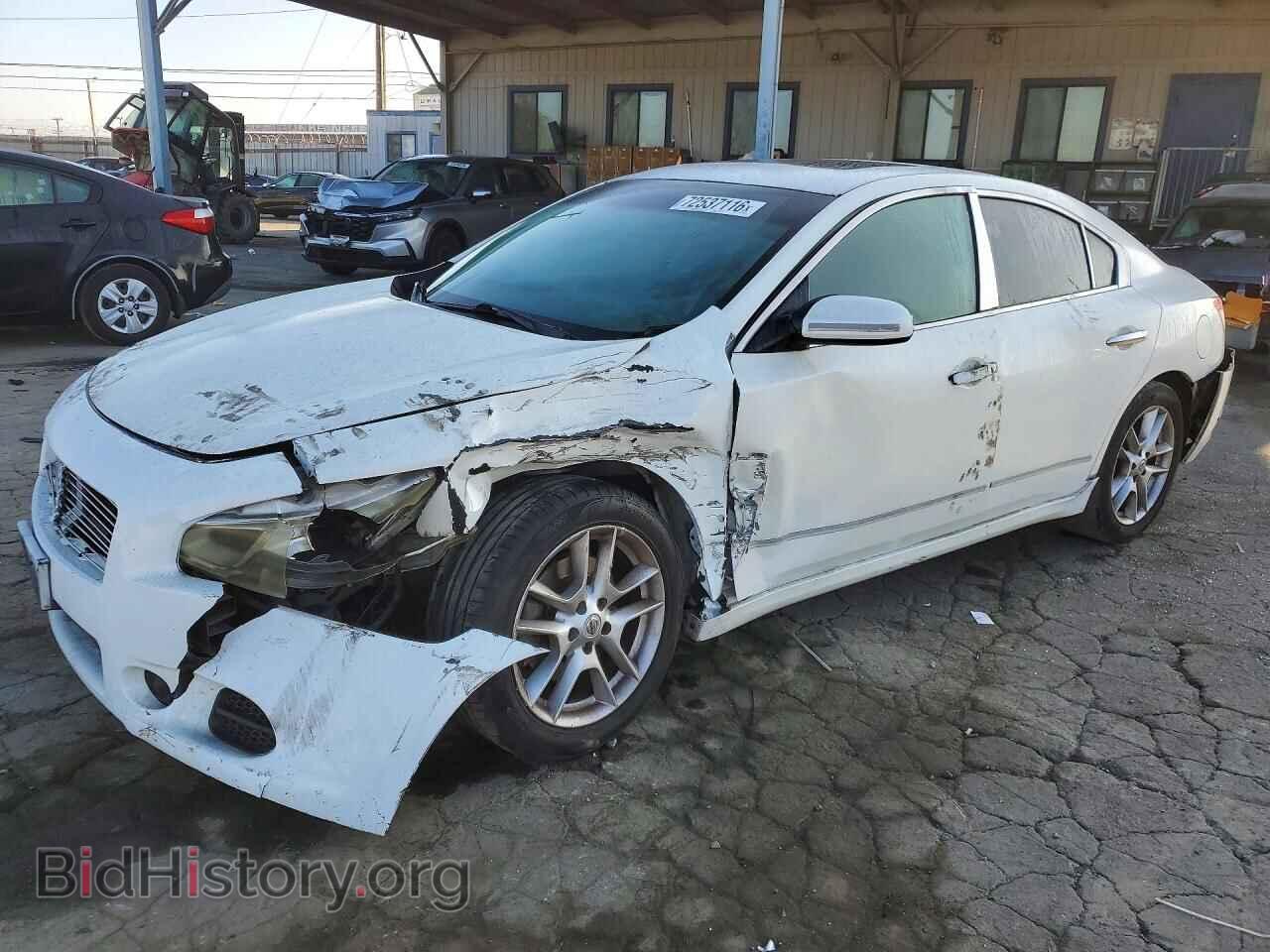Photo 1N4AA51E19C816905 - NISSAN MAXIMA 2009