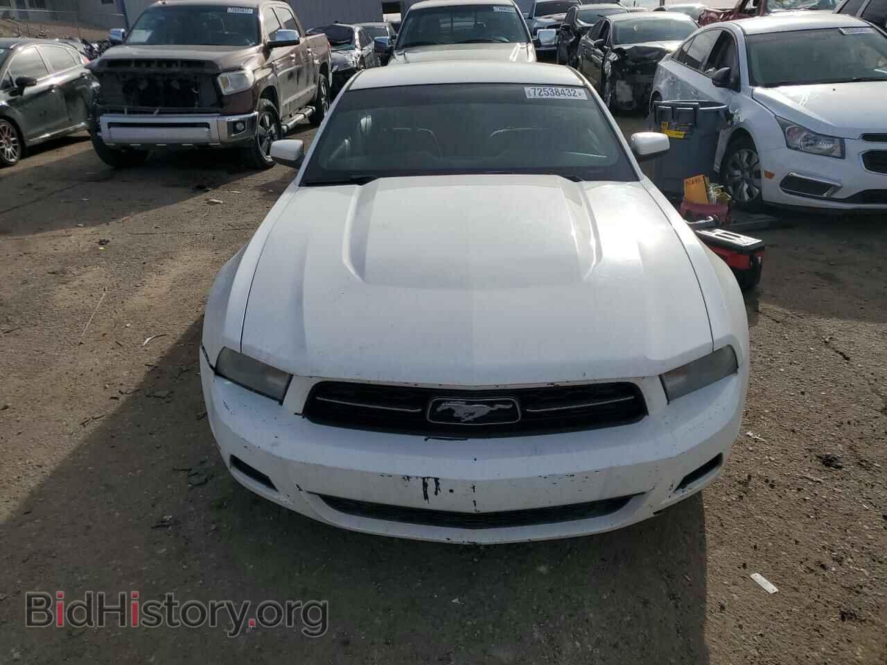 2011 FORD MUSTANG - VIN: 1ZVBP8AM2B5156158 - Фото 5