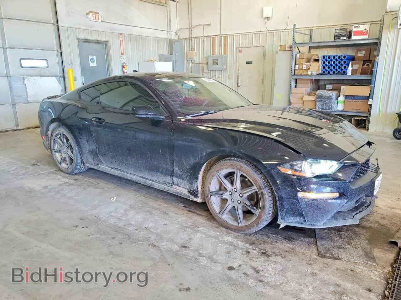 2020 FORD ALL Models - VIN: 1FA6P8TH5L5170079 - Photo 4