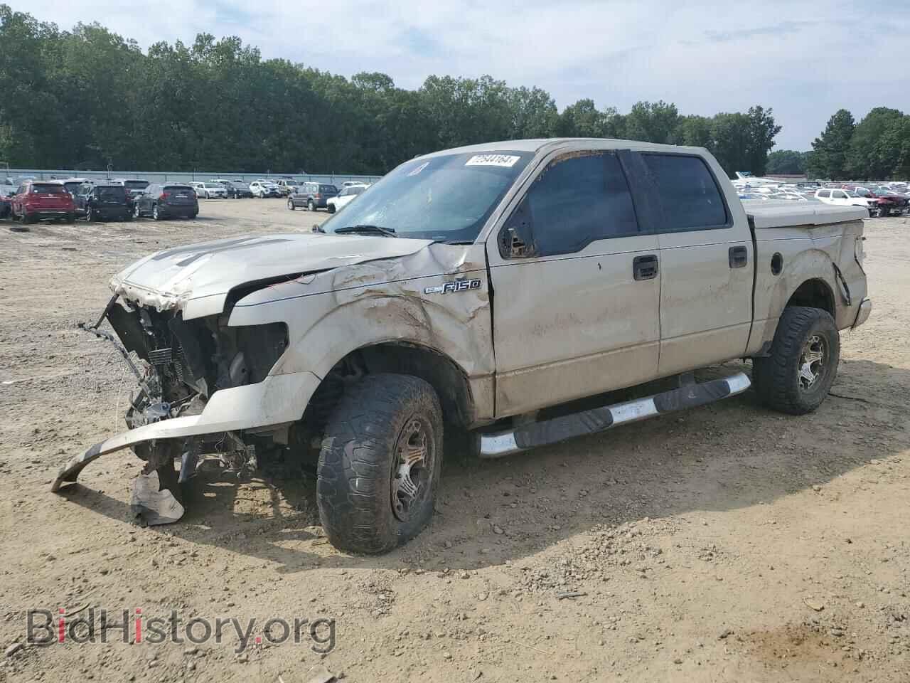 Фотография 1FTRW12889KD02071 - FORD F-150 2009