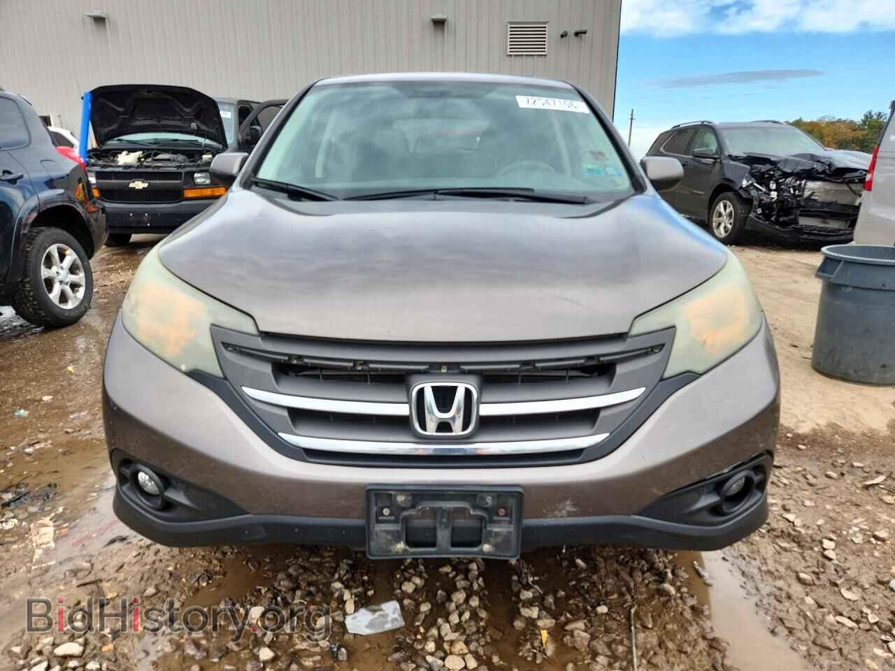 2012 HONDA CRV - VIN: 5J6RM4H51CL010195 - Photo 5