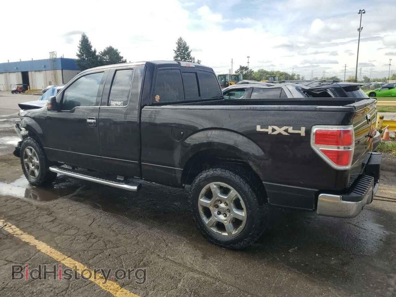2013 FORD F-150 - VIN: 1FTFX1EF1DFB36147 - Фото 2