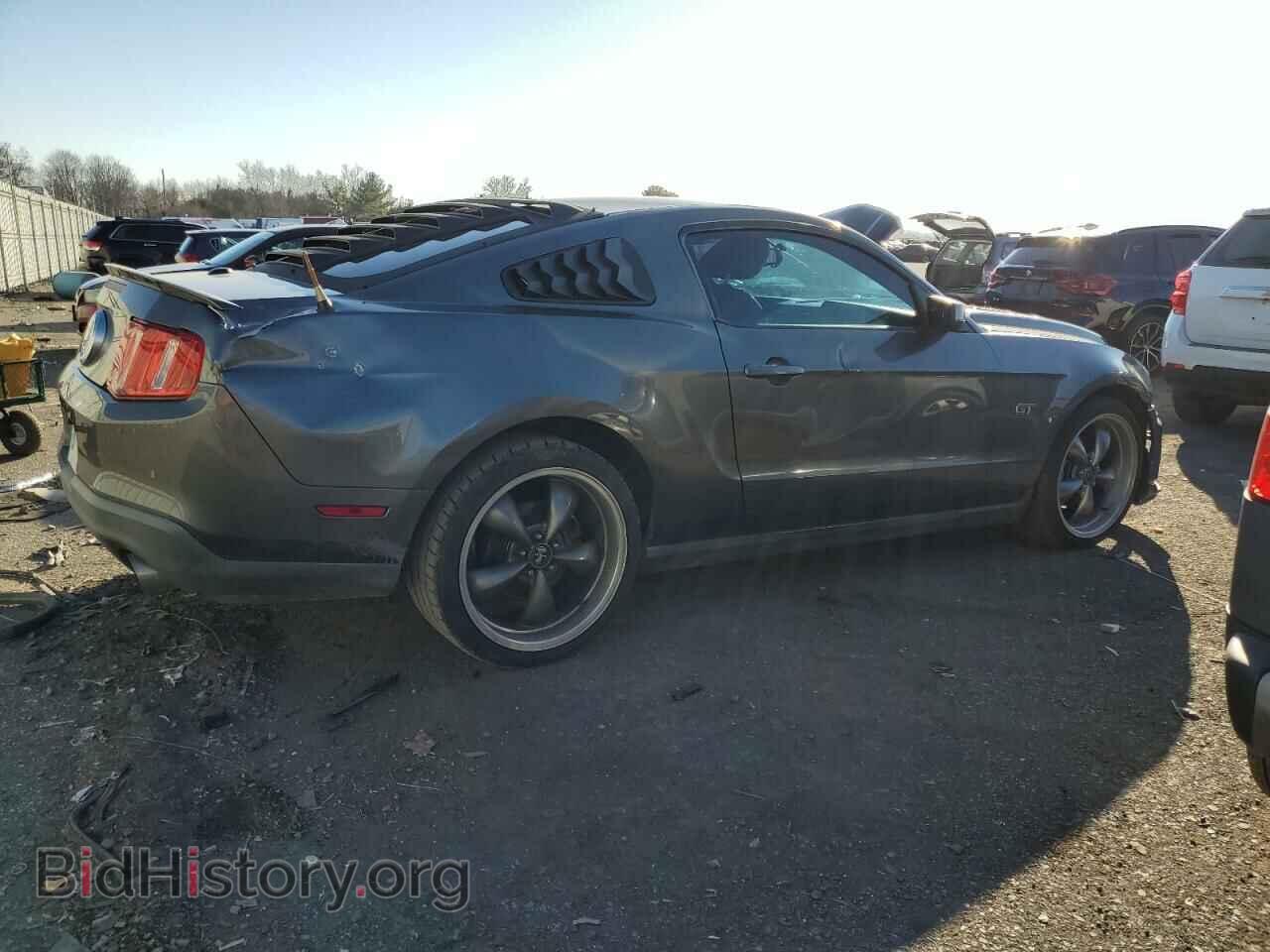 2010 FORD MUSTANG - VIN: 1ZVBP8CH6A5148384 - Фото 3