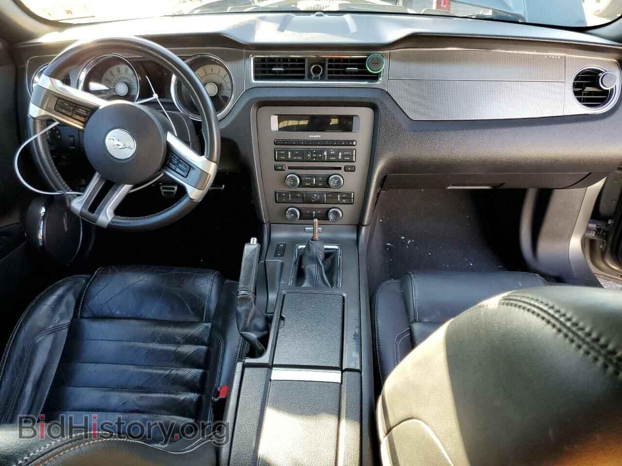2010 FORD MUSTANG - VIN: 1ZVBP8CH6A5148384 - Фото 8