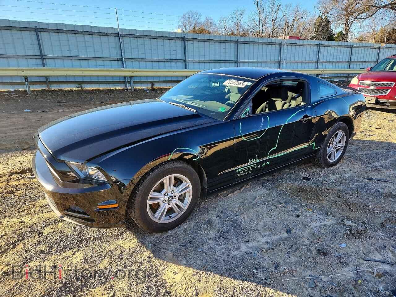 Photo 1ZVBP8AM3D5250908 - FORD ALL Models 2013