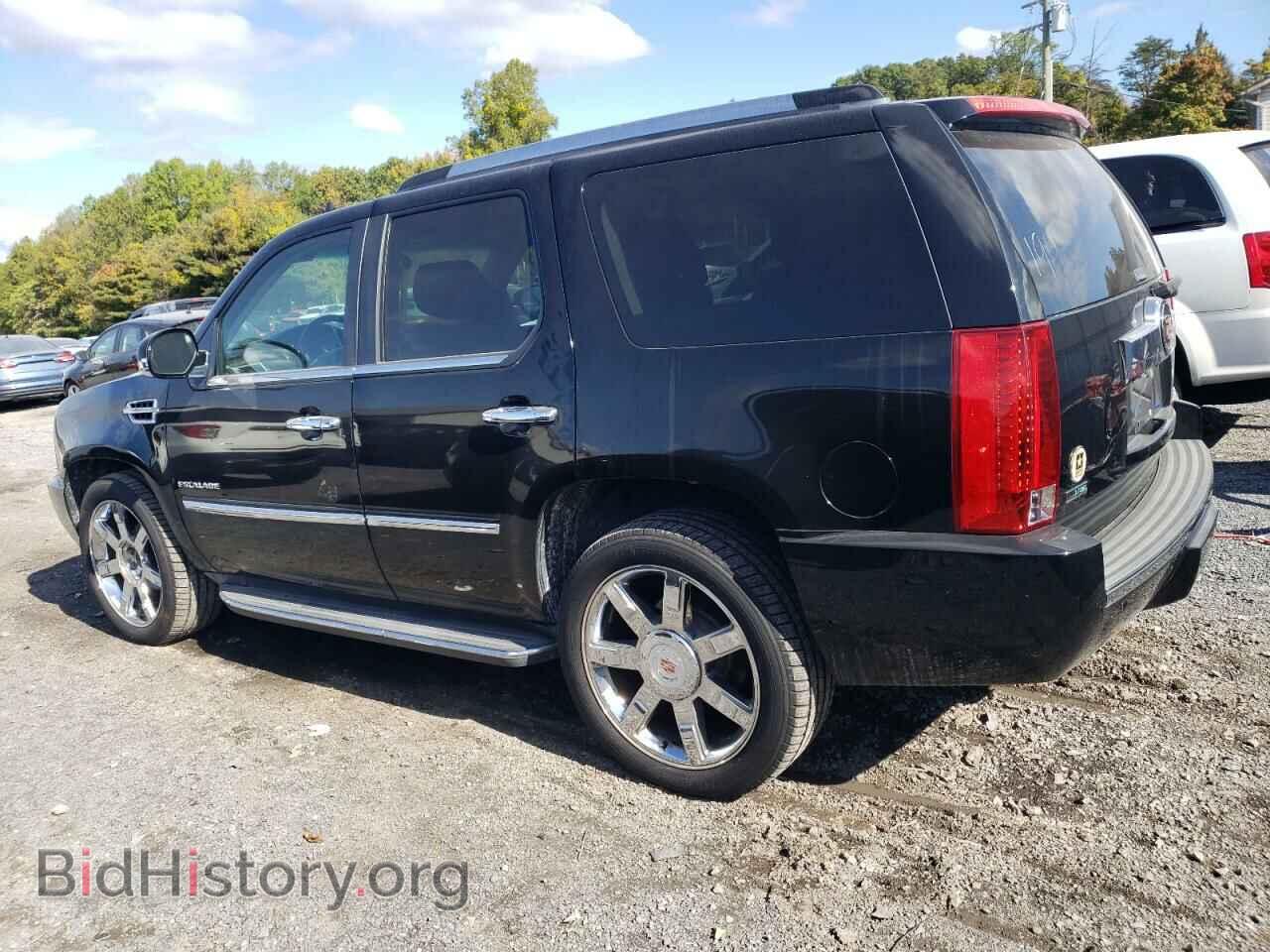 2011 CADILLAC ESCALADE - VIN: 1GYS4AEF5BR303574 - Фото 2